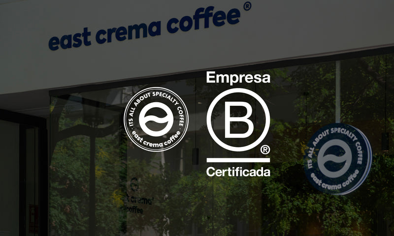 Empresa B Corp